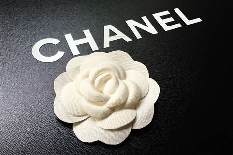 Chanel camellias